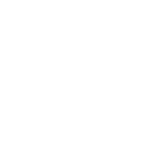 lilys-cleaner