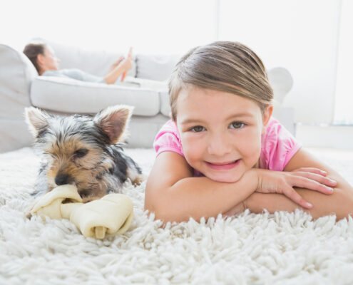 safe-cleaning-of-rugs