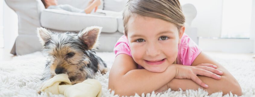 safe-cleaning-of-rugs